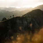 شقة Stoanmandl Wohlfuehlappartements نيوستيف ام ستوبيتا