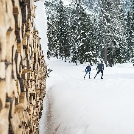 Apartment Stoanmandl Wohlfuehlappartements Neustift im Stubaital