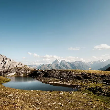 Stoanmandl Wohlfühlappartements * Neustift im Stubaital