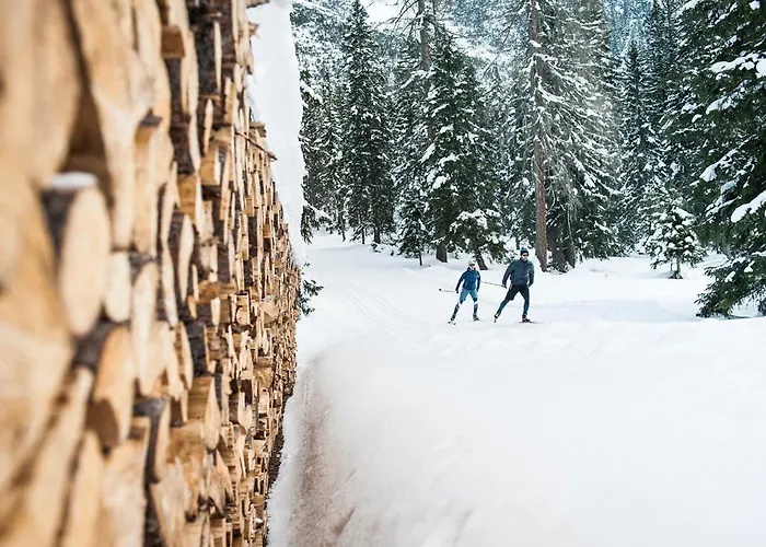 Stoanmandl Wohlfuehlappartements