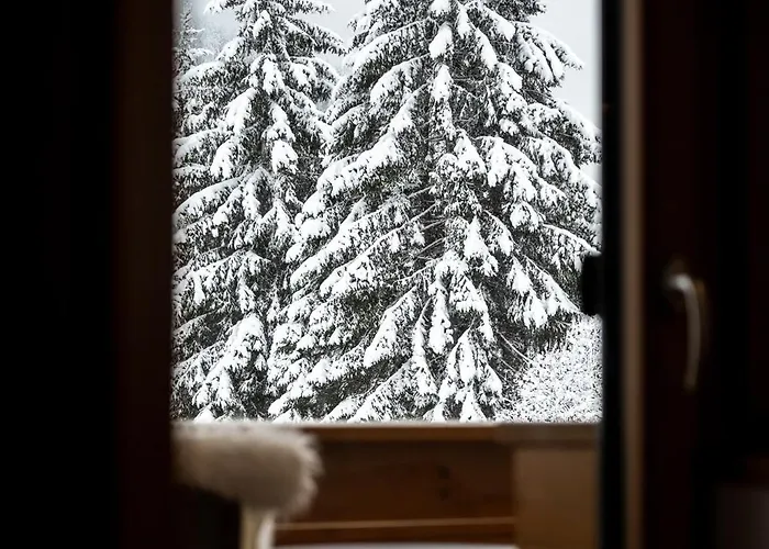 Stoanmandl Wohlfuehlappartements דירה