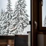 Appartement Stoanmandl Wohlfuehlappartements Neustift im Stubaital